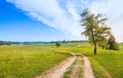 Define Phrogging to Better Prepare for Hidden Trespassers