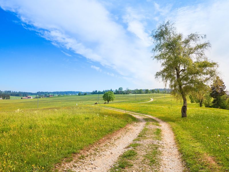 Define Phrogging to Better Prepare for Hidden Trespassers