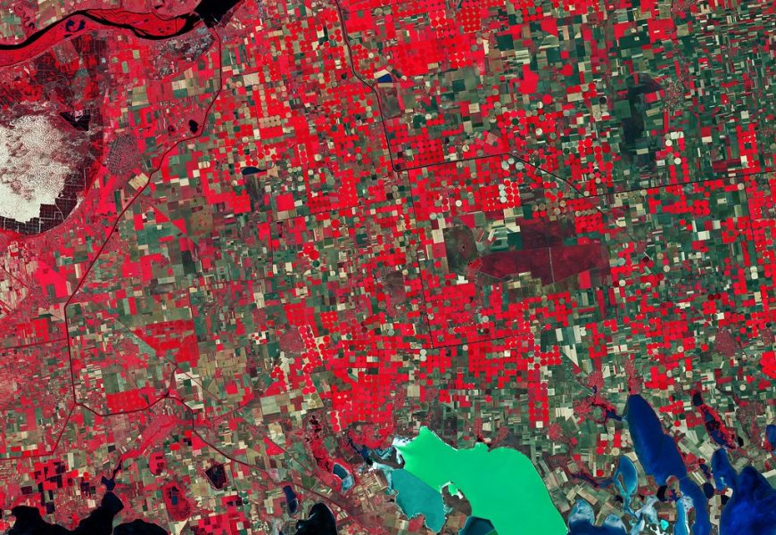Cosmos Health Expansion: Proven E-Commerce Growth in Oceania